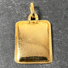 Load image into Gallery viewer, French Aquarius Starsign Zodiac 18K Yellow Gold Charm Medal Pendant