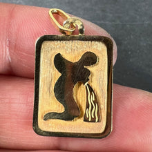 Load image into Gallery viewer, French Aquarius Starsign Zodiac 18K Yellow Gold Charm Medal Pendant