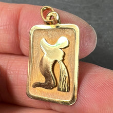 Load image into Gallery viewer, French Aquarius Starsign Zodiac 18K Yellow Gold Charm Medal Pendant