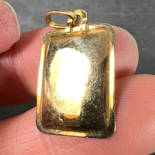 Load image into Gallery viewer, French Aquarius Starsign Zodiac 18K Yellow Gold Charm Medal Pendant