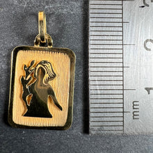 Load image into Gallery viewer, French Virgo Starsign Zodiac 18K Yellow Gold Charm Medal Pendant