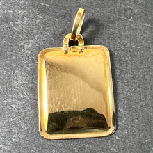 Load image into Gallery viewer, French Capricorn Starsign Zodiac 18K Yellow Gold Charm Medal Pendant