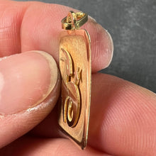 Load image into Gallery viewer, French Capricorn Starsign Zodiac 18K Yellow Gold Charm Medal Pendant