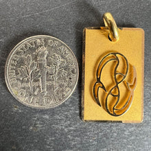 Load image into Gallery viewer, French Pisces Starsign Zodiac 18K Yellow Gold Charm Medal Pendant