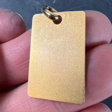 Load image into Gallery viewer, French Pisces Starsign Zodiac 18K Yellow Gold Charm Medal Pendant