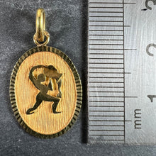 Load image into Gallery viewer, French Aquarius Starsign Zodiac 18K Yellow Gold Charm Medal Pendant