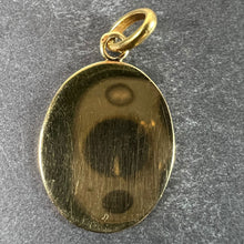 Load image into Gallery viewer, French Aquarius Starsign Zodiac 18K Yellow Gold Charm Medal Pendant