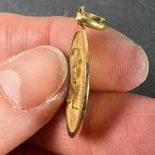 Load image into Gallery viewer, French Aquarius Starsign Zodiac 18K Yellow Gold Charm Medal Pendant
