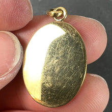 Load image into Gallery viewer, French Aquarius Starsign Zodiac 18K Yellow Gold Charm Medal Pendant