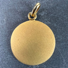 Load image into Gallery viewer, Becker French Zodiac Aquarius Starsign 18K Yellow Gold Charm Pendant