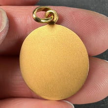 Load image into Gallery viewer, Becker French Zodiac Aquarius Starsign 18K Yellow Gold Charm Pendant