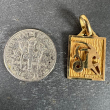Load image into Gallery viewer, French Capricorn Starsign Zodiac 18K Yellow Gold Charm Medal Pendant