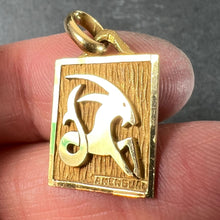 Load image into Gallery viewer, French Capricorn Starsign Zodiac 18K Yellow Gold Charm Medal Pendant