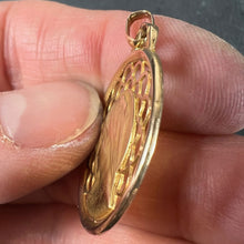 Load image into Gallery viewer, French Dropsy Virgin Mary 18K Yellow Gold Pierced Medal Charm Pendant