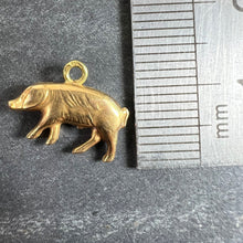 Load image into Gallery viewer, French 18K Yellow Gold Lucky Pig Charm Pendant
