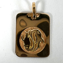 Load image into Gallery viewer, French Pisces Starsign Zodiac 18K Yellow Gold Charm Medal Pendant