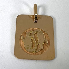 Load image into Gallery viewer, French Pisces Starsign Zodiac 18K Yellow Gold Charm Medal Pendant
