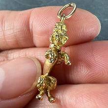Load image into Gallery viewer, 18K Yellow Gold Poodle Dog Charm Pendant