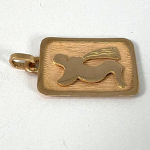 Load image into Gallery viewer, French Aquarius Starsign Zodiac 18K Yellow Gold Charm Medal Pendant