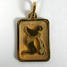 Load image into Gallery viewer, French Aquarius Starsign Zodiac 18K Yellow Gold Charm Medal Pendant