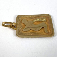 Load image into Gallery viewer, French Aquarius Starsign Zodiac 18K Yellow Gold Charm Medal Pendant