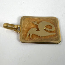 Load image into Gallery viewer, French Capricorn Starsign Zodiac 18K Yellow Gold Charm Medal Pendant