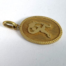Load image into Gallery viewer, French Aquarius Starsign Zodiac 18K Yellow Gold Charm Medal Pendant
