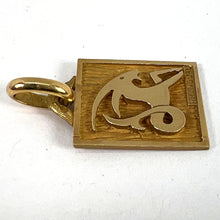 Load image into Gallery viewer, French Capricorn Starsign Zodiac 18K Yellow Gold Charm Medal Pendant