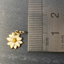 Load image into Gallery viewer, Daisy 9K Yellow Gold Enamel Charm Pendant