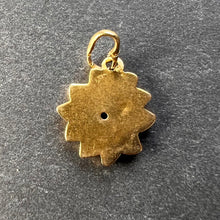 Load image into Gallery viewer, Daisy 9K Yellow Gold Enamel Charm Pendant
