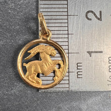 Load image into Gallery viewer, Aries Zodiac 18K Yellow Gold Charm Pendant
