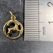 Load image into Gallery viewer, Capricorn Zodiac Goat 14K Gold Charm Pendant
