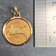 Load image into Gallery viewer, French 18K Yellow Gold Zodiac Capricorn Charm Pendant