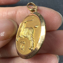 Load image into Gallery viewer, French 18K Yellow Gold Zodiac Capricorn Charm Pendant