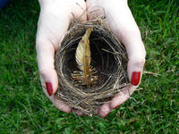 Boucheron gold ruby diamond feather brooch in birds nest cupped by woman's hands on grassy background.