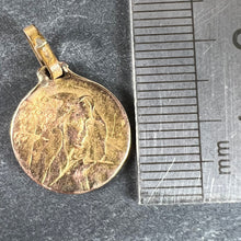 Load image into Gallery viewer, French Virgin Mary Rolled 18K Yellow Gold Filled Charm Pendant
