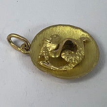 Load image into Gallery viewer, Vintage French Capricorn Starsign Zodiac 18K Yellow Gold Charm Medal Pendant

