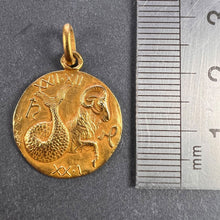 Load image into Gallery viewer, French 18K Yellow Gold Zodiac Capricorn Charm Pendant
