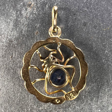 Load image into Gallery viewer, Blue Sapphire Spider 18K Yellow Gold Charm Pendant
