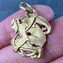 Load image into Gallery viewer, Devil 18K Yellow Gold Good Luck Charm Pendant
