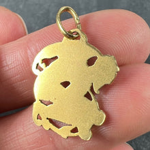 Load image into Gallery viewer, Devil 18K Yellow Gold Good Luck Charm Pendant
