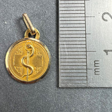 Load image into Gallery viewer, French Rod of Asclepius Blood Type Medical 18K Yellow Gold Perroud Charm Pendant
