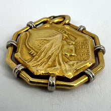 Load image into Gallery viewer, French Vernier Vercingetorix Gaul 18K White Yellow Gold Charm Pendant
