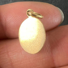 Load image into Gallery viewer, Vintage French Seven Spot Ladybird 18K Yellow Gold Enamel Lucky Charm Pendant
