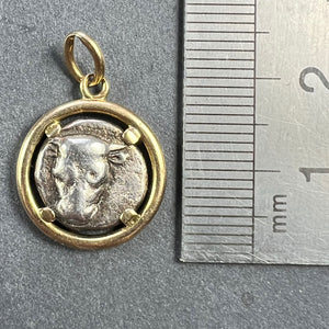 Ancient Silver Bull Head and Artemis Greek Coin in 18K Yellow Gold Frame Pendant