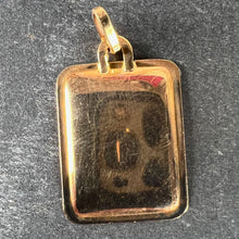 Load image into Gallery viewer, French Leo Starsign Zodiac 18K Yellow Gold Charm Medal Pendant
