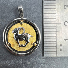 Load image into Gallery viewer, Kosun 14K Yellow White Gold Zodiac Capricorn Charm Pendant
