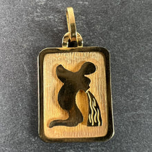 Load image into Gallery viewer, French Aquarius Starsign Zodiac 18K Yellow Gold Charm Medal Pendant
