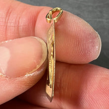 Load image into Gallery viewer, French Aquarius Starsign Zodiac 18K Yellow Gold Charm Medal Pendant

