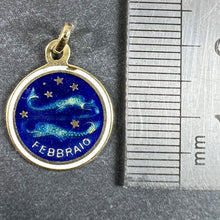 Load image into Gallery viewer, Vintage Pisces Starsign Zodiac 18K Yellow Gold Enamel Charm Medal Pendant

